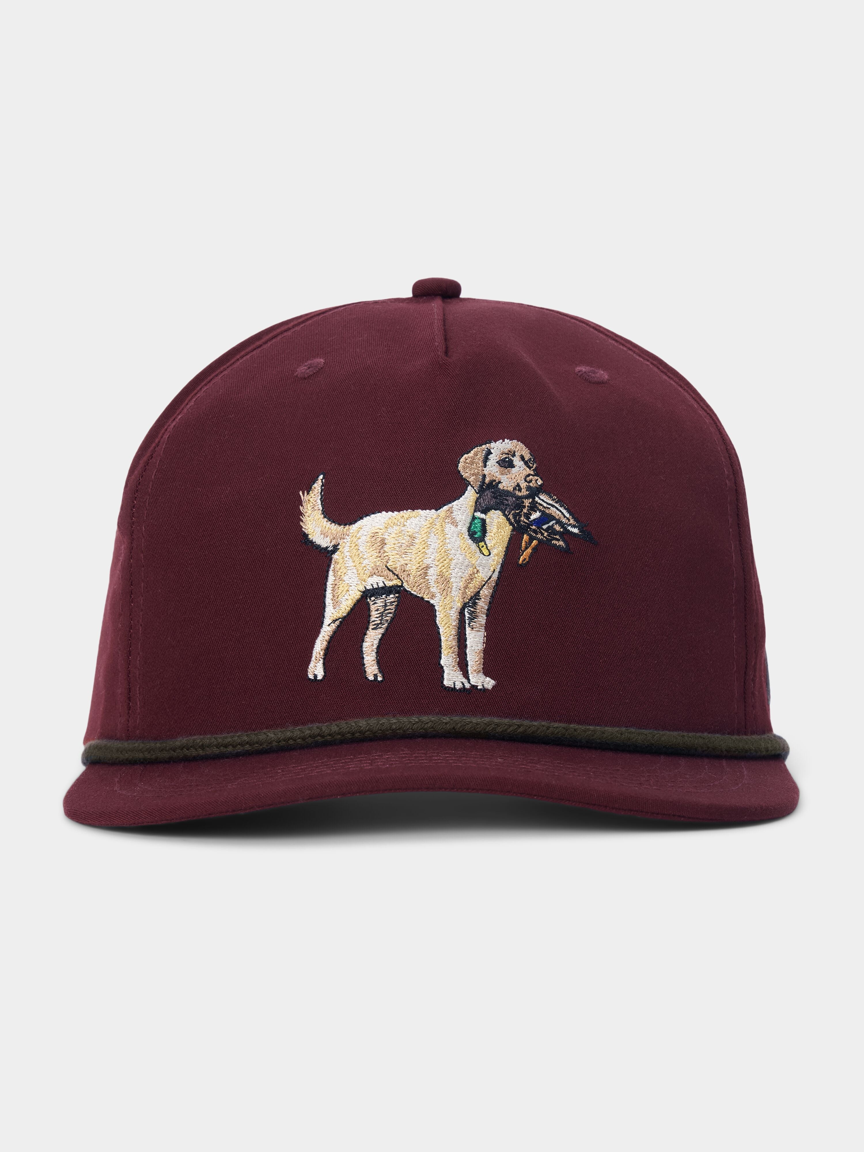 Yellow Lab Hat - Carmine