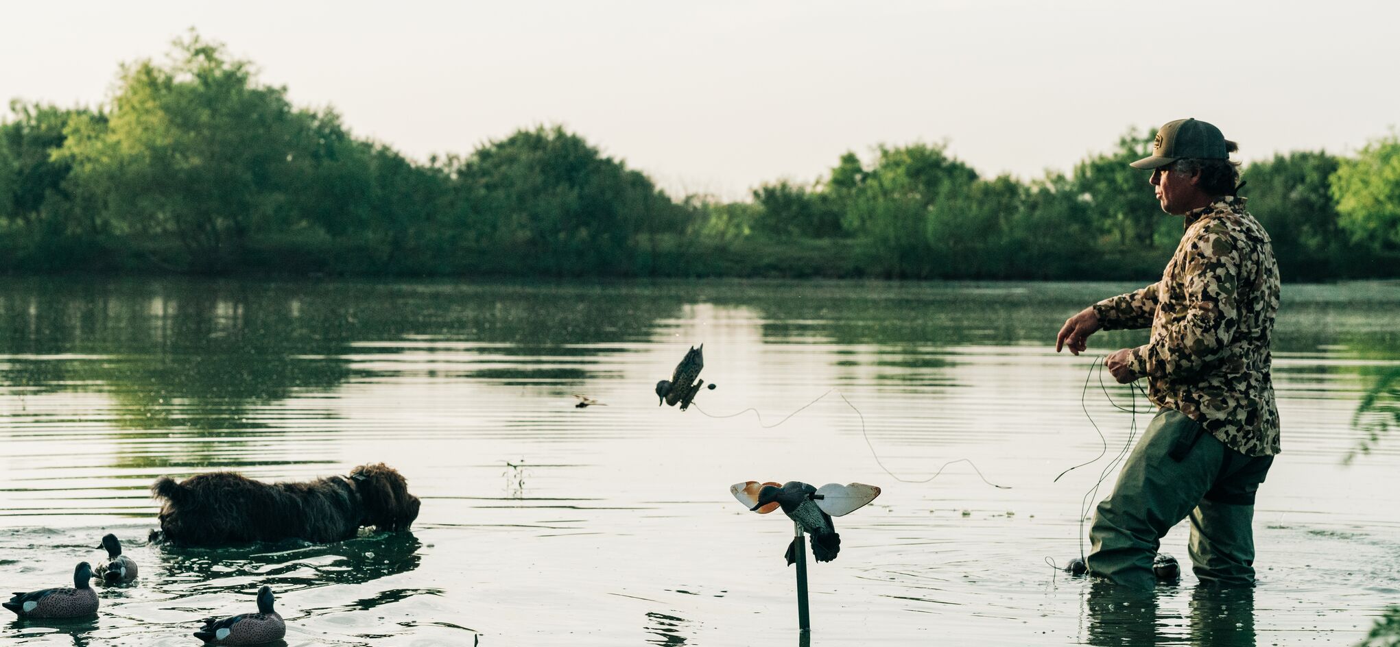 Wingshooting Favorites
